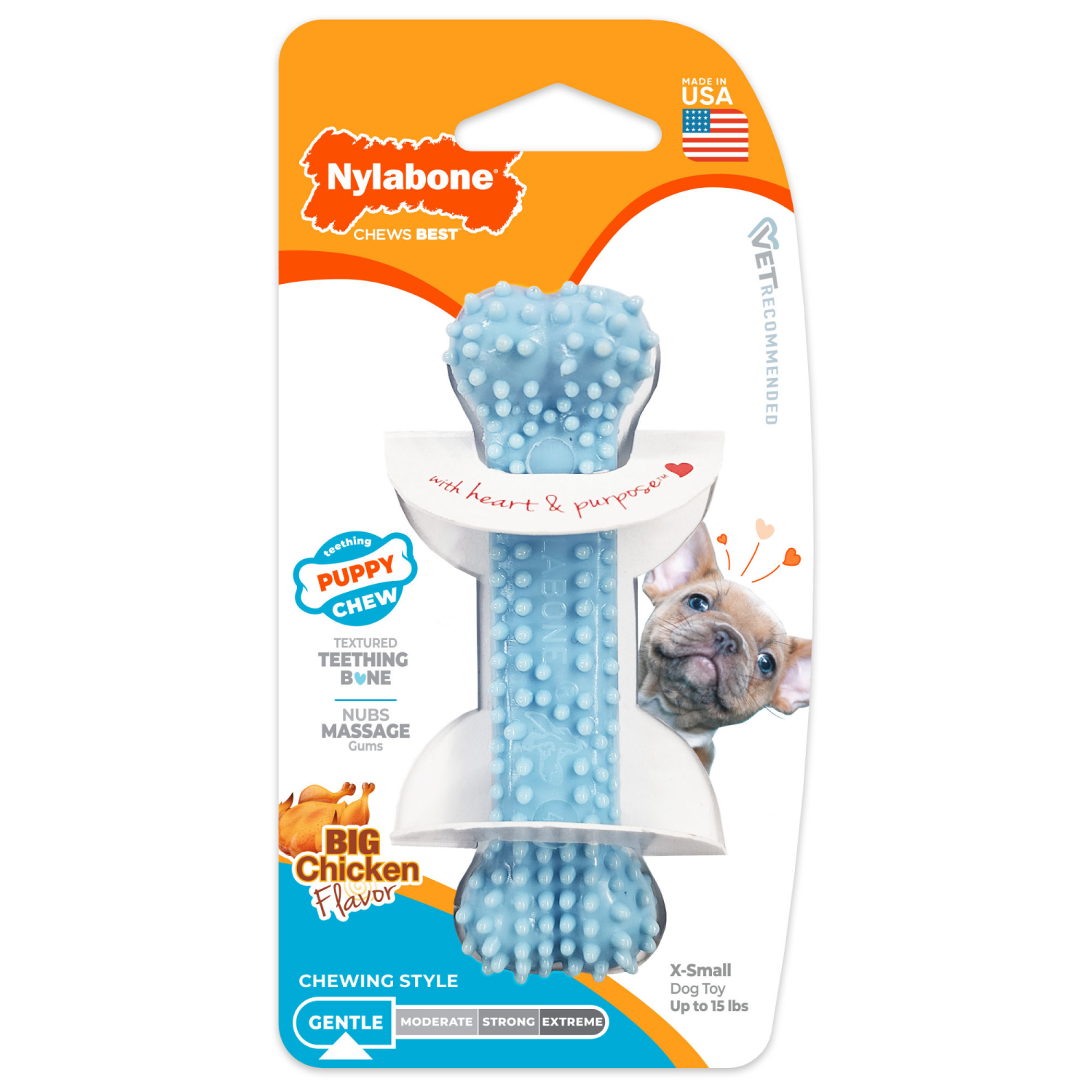slide 1 of 6, Nylabone Puppy Teething & Soothing Flexible Chew Toy Chicken Blue X-Small/Petite - Up to 15 lbs.(1 Count), 1 ct