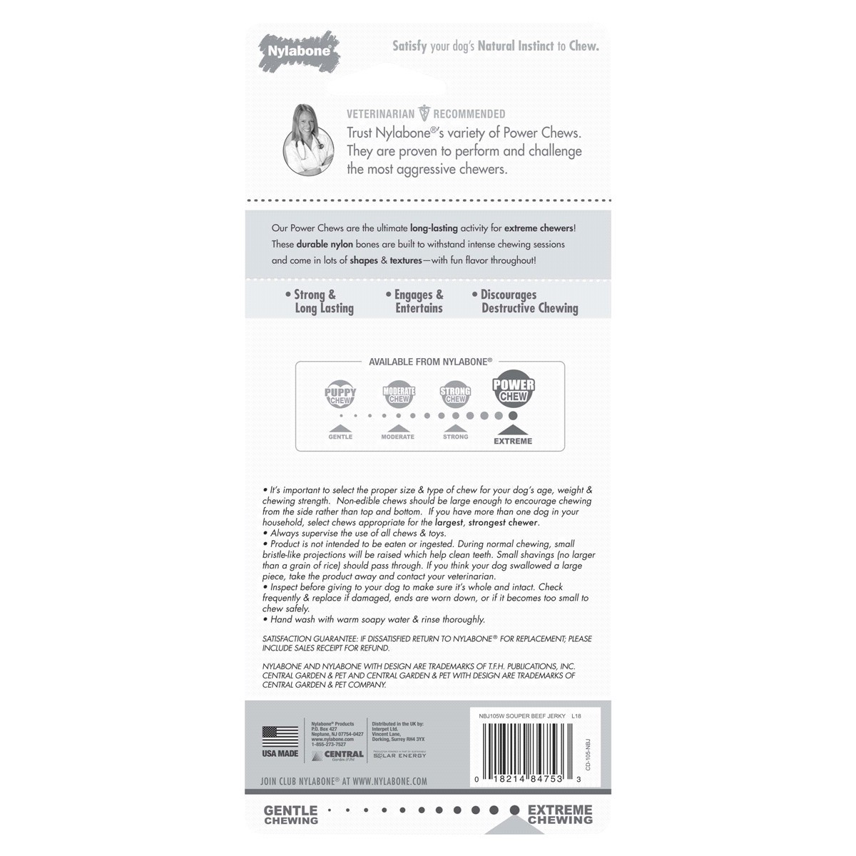 slide 2 of 2, Nylabone Essentials Power Beef Jerky Flavor Dog Chew, 1 ct