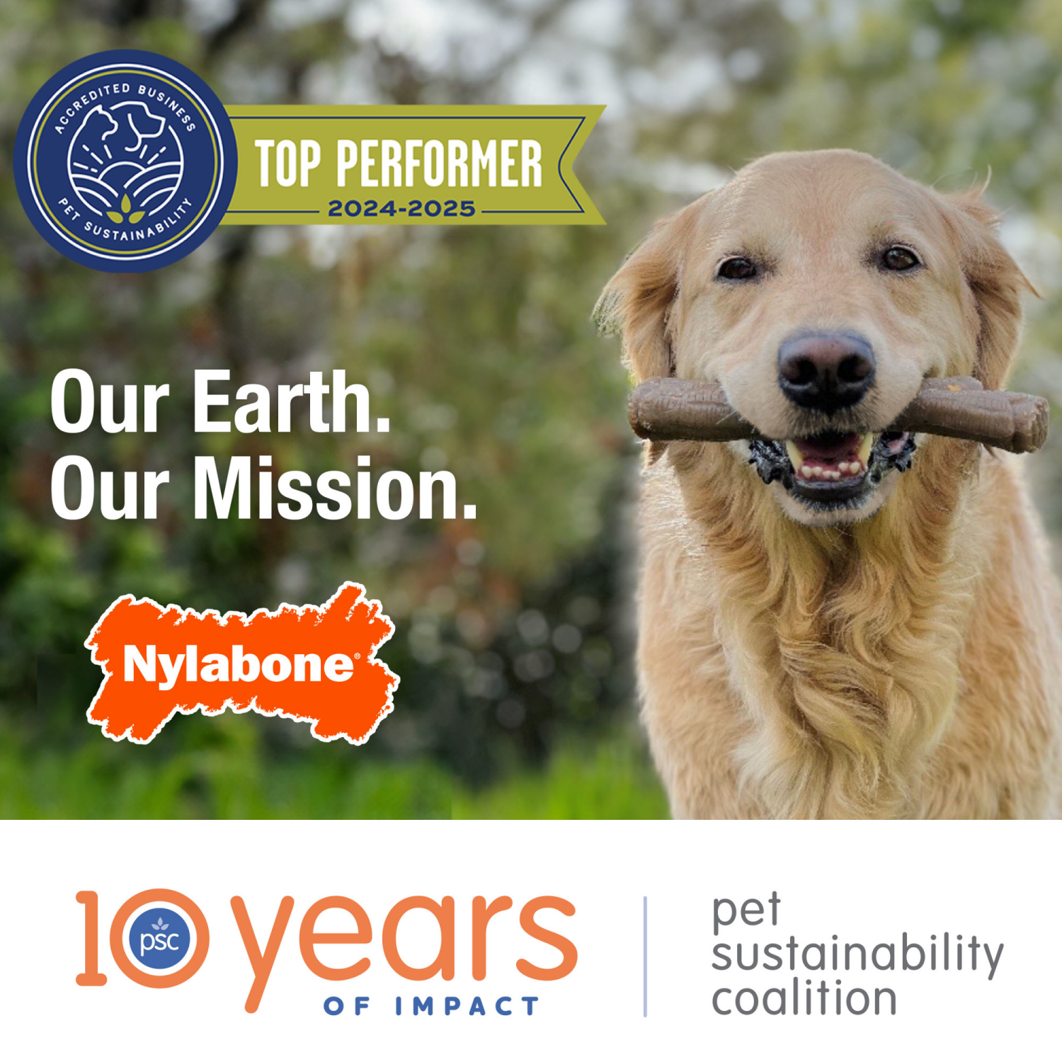 slide 7 of 7, Nylabone Green Easy Hold Bone Lg, LG