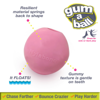 slide 3 of 17, Nylabone Power Play Gum-a-Ball Toy for Dogs (2 Count), 1 ct