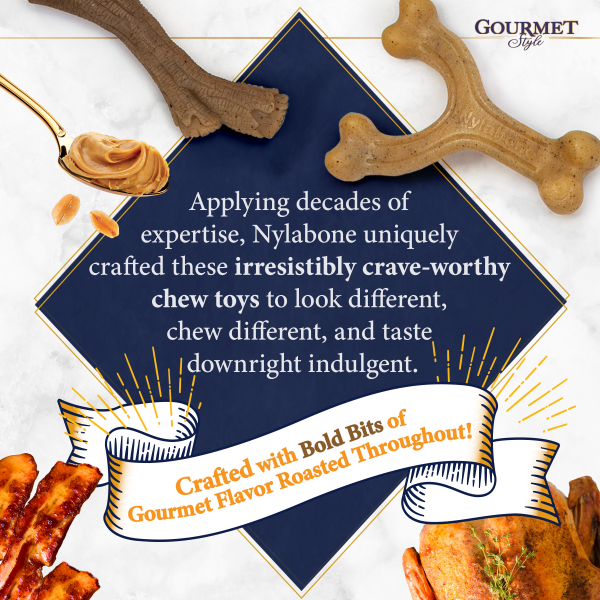 slide 12 of 13, Nylabone Gourmet Style Strong Wishbone Dog Chew Toy Chicken Small/Regular - Up to 25 Ibs.(1 Count), 1 ct