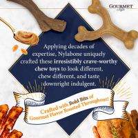 slide 11 of 13, Nylabone Gourmet Style Strong Wishbone Dog Chew Toy Chicken Small/Regular - Up to 25 Ibs.(1 Count), 1 ct