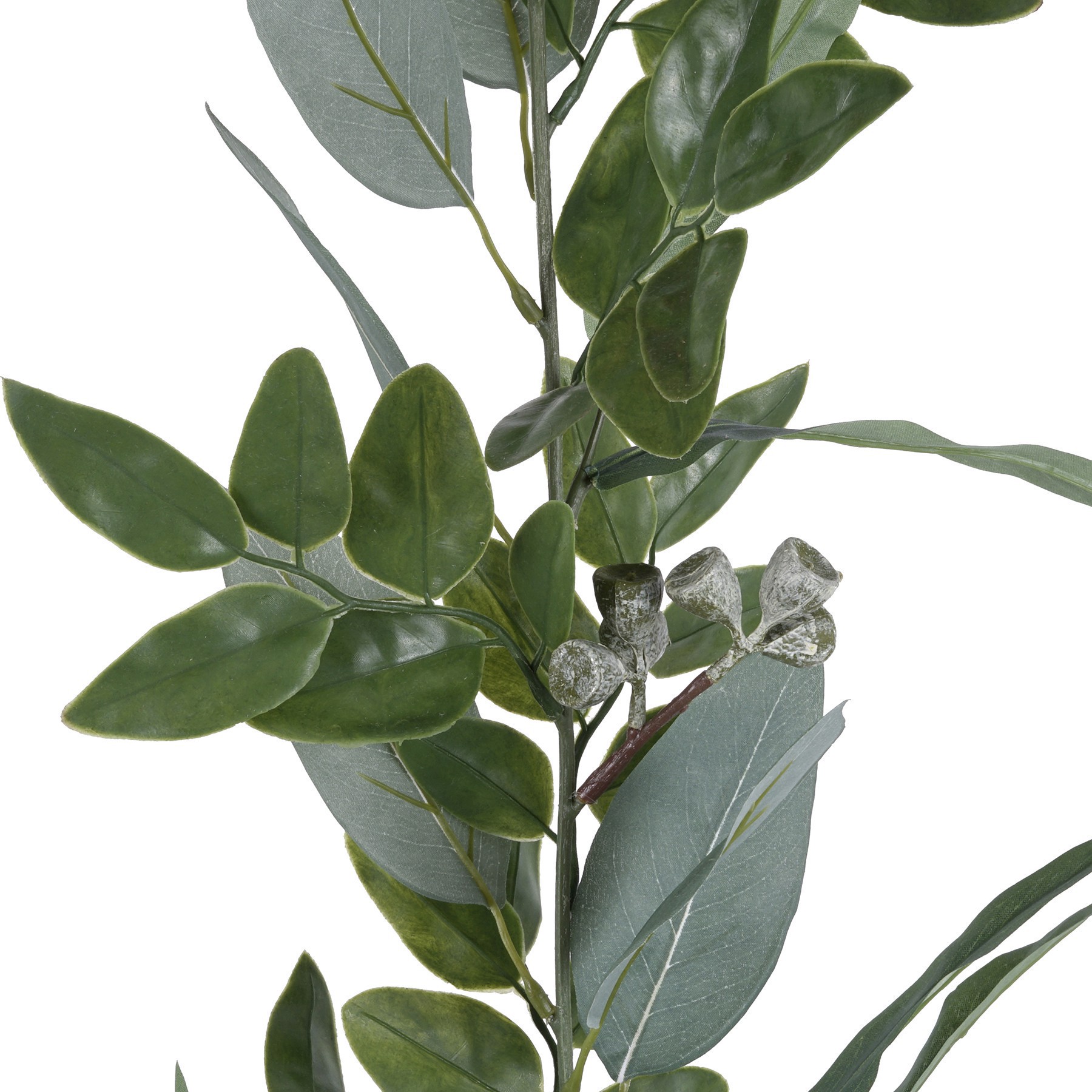 slide 5 of 5, 6ft. Eucalyptus Garland With Green Berries By Ashland, 6 ft