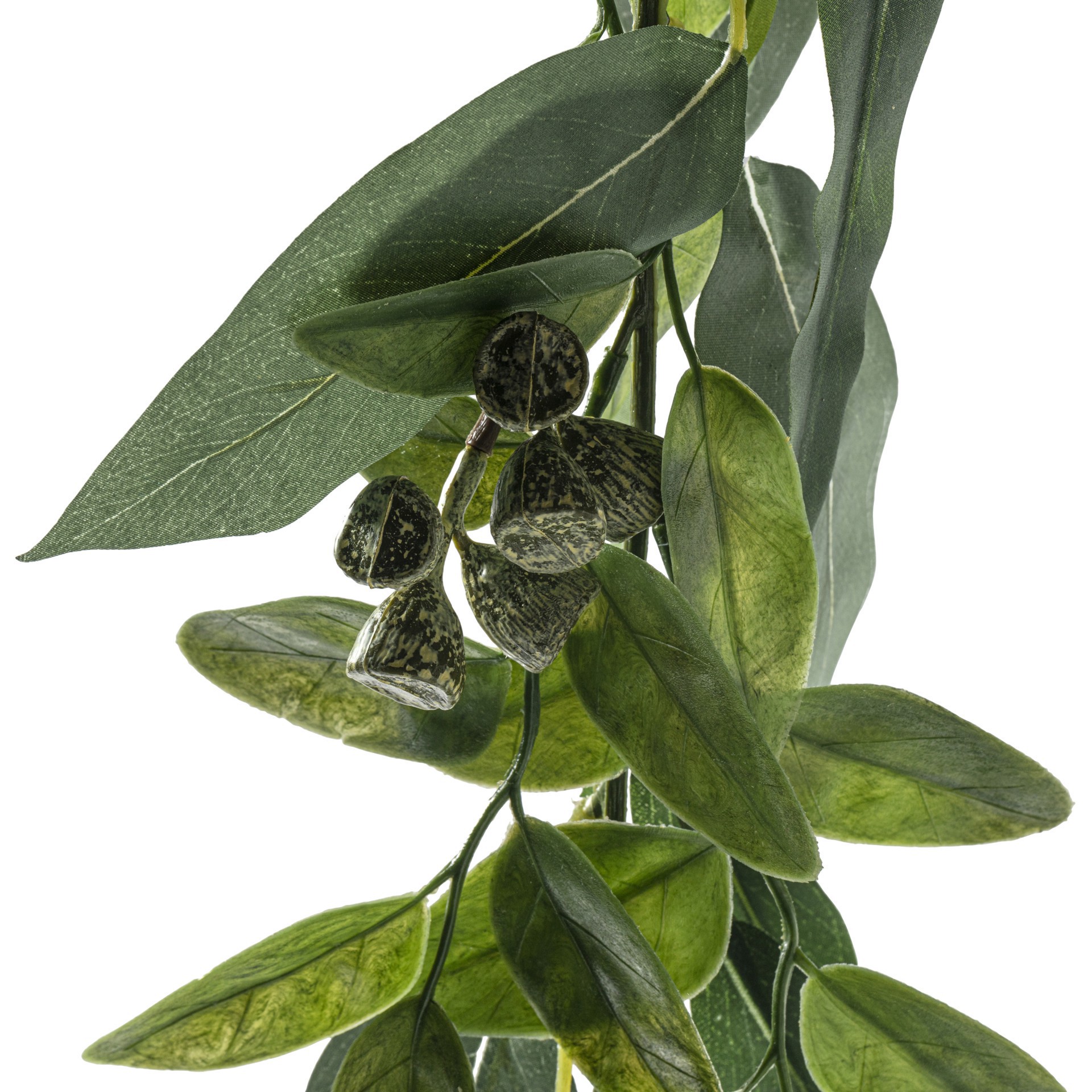 slide 4 of 5, 6ft. Eucalyptus Garland With Green Berries By Ashland, 6 ft