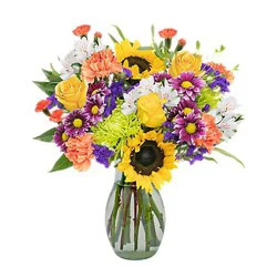 Designers Choice Mixed Arrangement