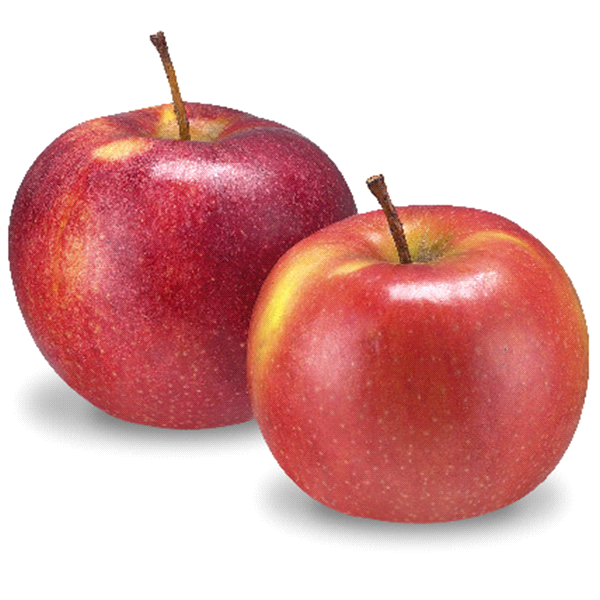 slide 1 of 1, Mi Jonagold Apples, 1 ct