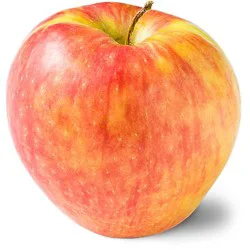 Honeycrisp Apple