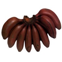 slide 1 of 1, Red Banana, 1 ct