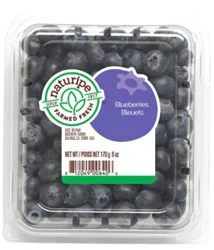 Blueberries Prepacked - 6 Oz