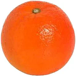 Minneola Tangelo