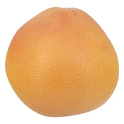 Red Grapefruit Large