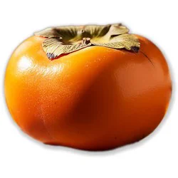 Persimmon