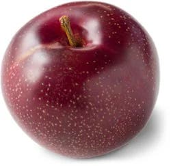 Red Plum