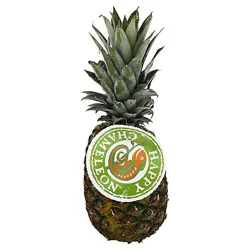 Gold Pineapple