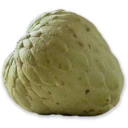 Cherimoya