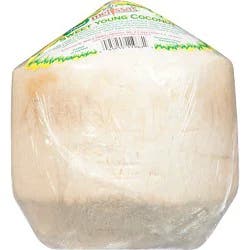 Coconut Sweet Young