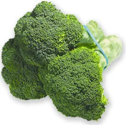 Broccoli
