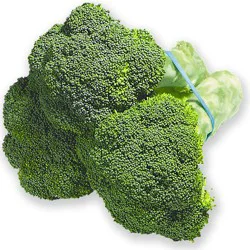 Broccoli