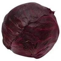 Cabbage Red Savoy