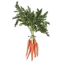 Carrots Bunch - Each