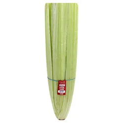 Celery Cardoni