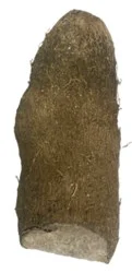 Name Root Yellow - 1 Lb