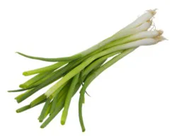 Green Onions 1 Bunch