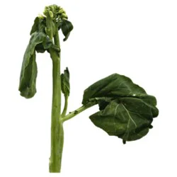 Gai Lan