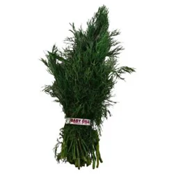 Baby Dill 1 Bunch