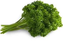 Curly Parsley 1 Bunch