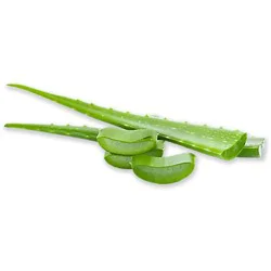 Aloe Vera Leaves
