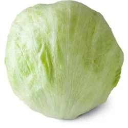 Iceberg Lettuce