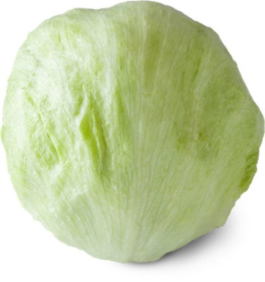 slide 1 of 1, Iceberg Lettuce, 1 ct