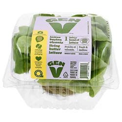 Petes Living Greens Lettuce Butter Hydroponic Prepacked - Each
