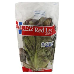 Red Leaf Lettuce