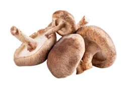 Shiitake Mushrooms