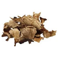 Chanterelle Mushrooms - 0.25 Lb