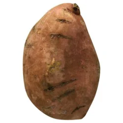 Mushroom King Oyster - 0.25 Lb