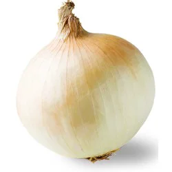Yellow Sweet Onion