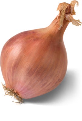 slide 1 of 1, Shallot, 1 ct