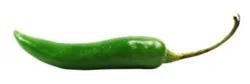 Serrano Chili Peppers
