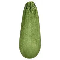 Squash Mexican / Gray