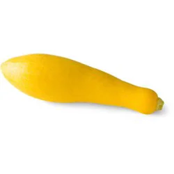 Yellow Crookneck Squash