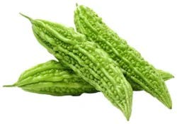 Squash Bitter Melon