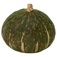 Squash Buttercup
