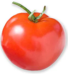 On The Vine Red Tomato - Each