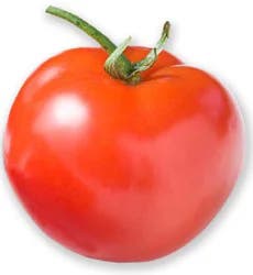 On The Vine Red Tomato - Each