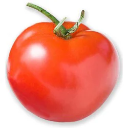 On The Vine Red Tomato - Each