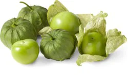 Tomatillo
