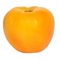 Yellow Tomato